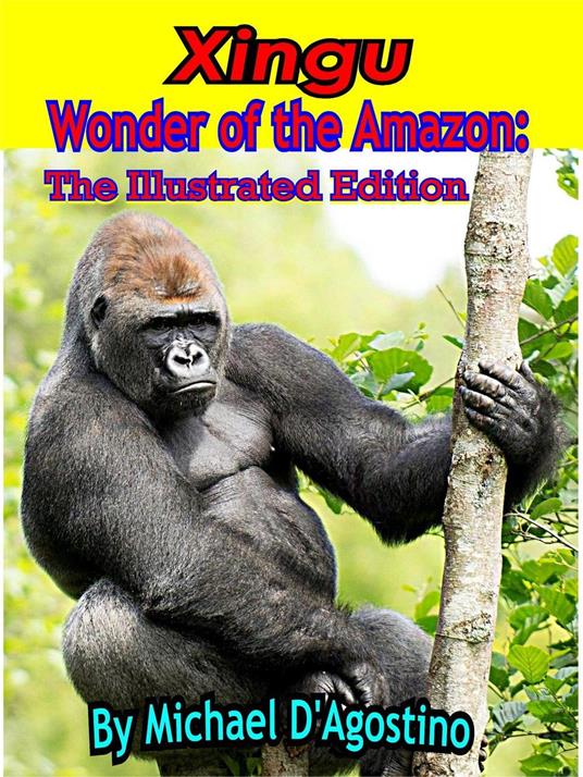 Xingu Wonder of the Amazon: The Illustrated Edition