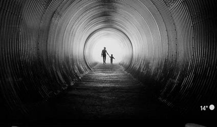 Essays über das zeitgenössische Leben