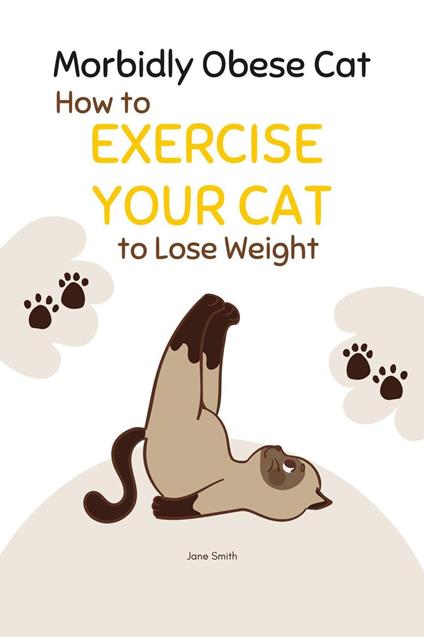 Morbidly Obese Cat: How to Exercise Your Cat to Lose Weight