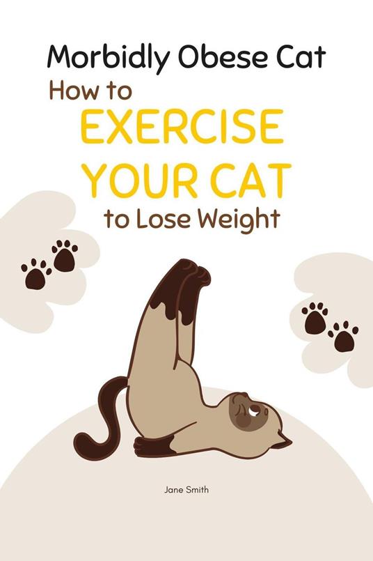 Morbidly Obese Cat: How to Exercise Your Cat to Lose Weight