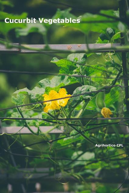 Cucurbit Vegetables