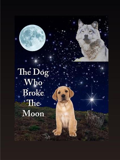 The Dog Who Broke The Moon
