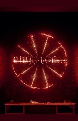 Enter Madness - Michael Bertolini,Thomas Stewart,Alan Dark - cover