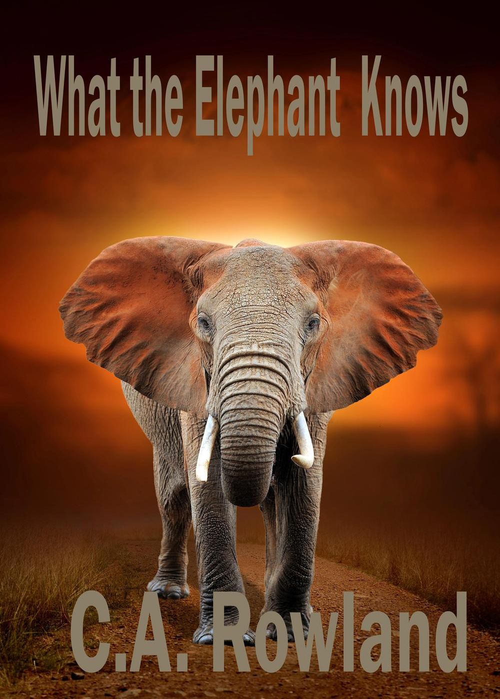 ibs