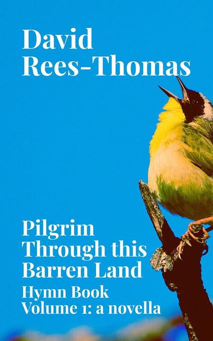 Pilgrim Through This Barren Land