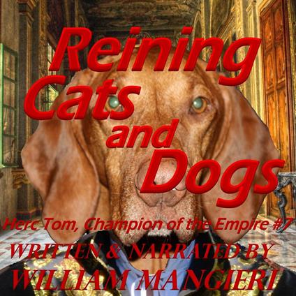 Reining Cats and Dogs