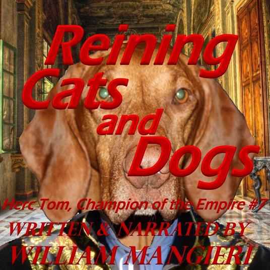 Reining Cats and Dogs