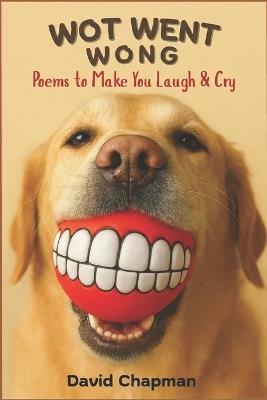 Wot Went Wong - David Chapman - cover