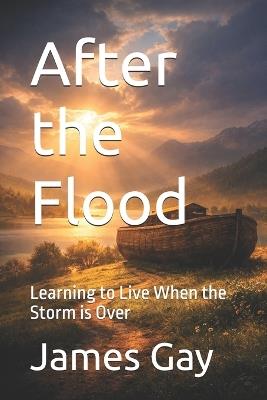 After the Flood: Learning to Live When the Storm is Over - James E Gay - cover