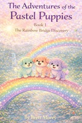 The Rainbow Bridge Discovery - Brett Morey - cover