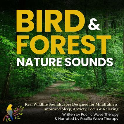 Bird & Forest Nature Sounds