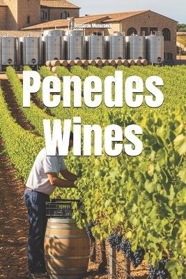 Penedes Wines - Bernardo Musumeci - cover