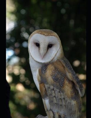 Mastering & Prepare for GitHub Copilot Certification Guide GH 300: Prepare for the GitHub Copilot Certification, include 120 practice Questions. - Rashmi Shah - cover