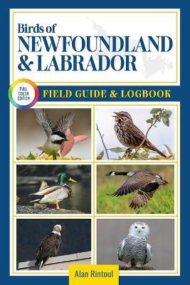 Birds of Newfoundland and Labrador Field Guide and Logbook: An Essential Birdwatching Guide with Identification Tips for 60 Common Bird Species in Newfoundland & Labrador - Alan Rintoul - cover