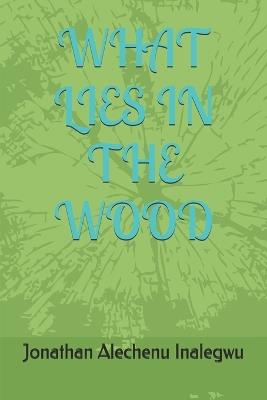What Lies in the Wood - Jonathan Alechenu Inalegwu - cover