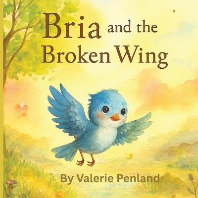 Bria and the Broken Wing - Valerie Penland - cover