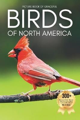 Picture Book of Graceful Birds of North America: A Calming Collection of Real Bird Photography for Seniors Living with Memory Loss, Alzheimer's, or Dementia - Owen Earthley - cover