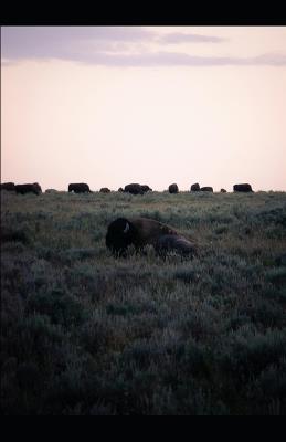 Prairie Oysters for Breakfast: Strange Eats of the Wild West - Tony Hicks - cover