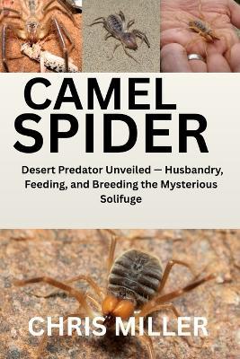 Camel Spider: Desert Predator Unveiled - Husbandry, Feeding, and Breeding the Mysterious Solifuge - Stella King,Chris Miller - cover