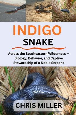 Indigo Snake: Across the Southeastern Wilderness - Biology, Behavior, and Captive Stewardship of a Noble Serpent - Stella King,Chris Miller - cover