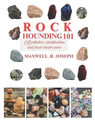 Rockhounding 101: A Collection, Identification and Fossil Masterpiece - Stella J McCarthy - cover
