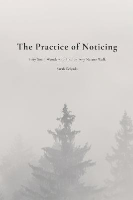 The Practice of Noticing: Fifty Small Wonders to Find on Any Nature Walk - Sarah Delgado - cover