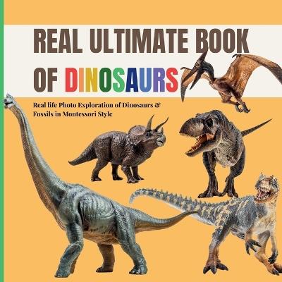 Real Ultimate Book of Dinosaurs: A calm Montessori photo guide to real fossils, skeletons and prehistoric giants - Boonhouse Publishing - cover