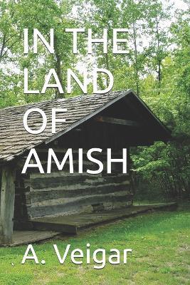 In the Land of Amish - A Veigar - cover