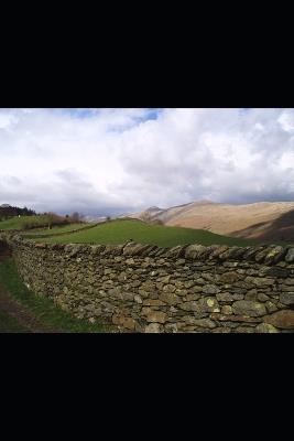 Brackendale - Anthony Smales - cover