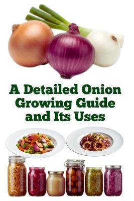 A Detailed Onion Growing Guide and Its Uses - Zulfiqar Khan - cover