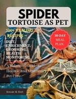 Spider Tortoise as Pet: A Balanced Guide to Holistic and Veterinary Pet Care
