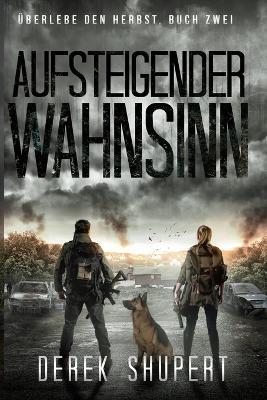 Aufsteigender Wahnsinn - Derek Shupert - cover