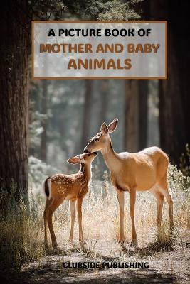 A Picture Book of Mother and Baby Animals: A Calming Collection of Gentle Springtime Animal Photos for Seniors with Alzheimer's and Dementia - Clubside Publishing - cover