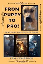From PUPPY to PRO!: A Practical Step-by-Step Guide