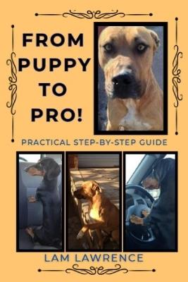 From PUPPY to PRO!: A Practical Step-by-Step Guide - Lam Lawrence - cover