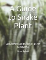 A Guide to Snake Plant: Care, Benefits and Growth Tips for Sansevieria