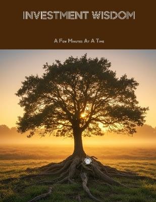 INVESTMENT WISDOM A Few Minutes At A Time - Steve Bradley - cover