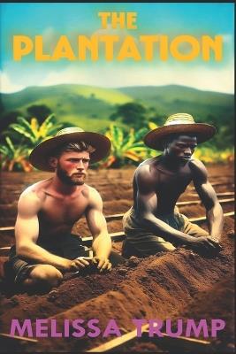 The Plantation: Slavery historical fiction - gay romance - Melissa Trump - cover