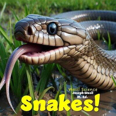 Wasil Science: Snakes! - Joseph Paul-Staples Wasil M Ed - cover