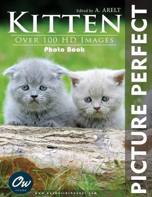 Kitten: Picture Perfect Photo Book - A Arelt,Our World - cover
