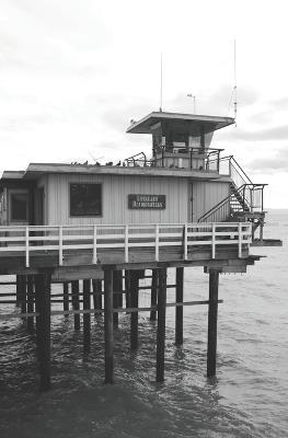 Return to Maduro's Realm - Norman Handy - cover