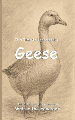 It's Time to Learn about Geese - Walter the Educator - cover