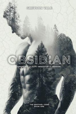 Obsidian: A Dark MM Romance - Greyson Vale - cover