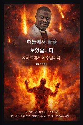 나는 하늘에서 불을 보았다: 지하드에서 예수까지 - 불길 속의 충성 - Isa El-Buba,Ambassador O Ogbe - cover
