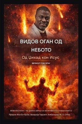 Видов оган од небото: Од џихад до Исус - Верност под оган - Isa El-Buba,Ambassador O Ogbe - cover