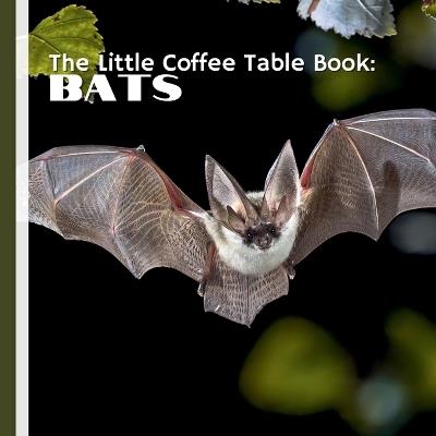 The Little Coffee Table Book: Bats: 75 fascinating facts about bats from around the world with high-resolution photographs that showcase bats in flight, at rest, and in their natural habitats - Mehco Design - cover