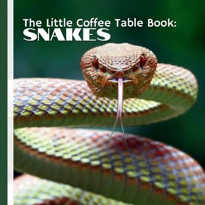 The Little Coffee Table Book: Snakes: 75 intriguing facts about one of nature's most misunderstood creatures-snakes. - Mehco Design - cover