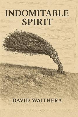 Indomitable Spirit - David Waithera - cover