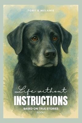 Tony & Melanie: Life without Instructions - Melanie Sickert - cover