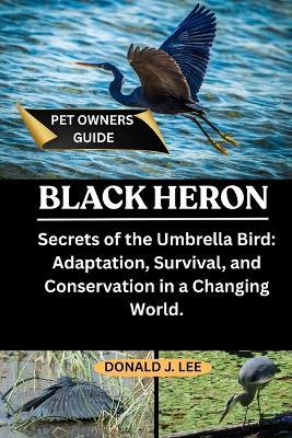 Black Heron: Secrets of the Umbrella Bird: Adaptation, Survival, and Conservation in a Changing World. - Donald J Lee - cover